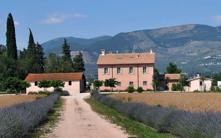 Country House Casco Dell'Acqua Trevi Exterior foto